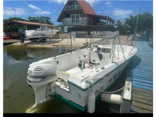 Botes Angler 21 Eslora con Jonhsoon 115 HP mezcla Puerto Rico