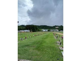 Ganga Lote Cementerio Caguas