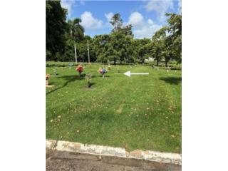 Lote en Cementerio Porta Coeli Bayamn, Puerto Rico