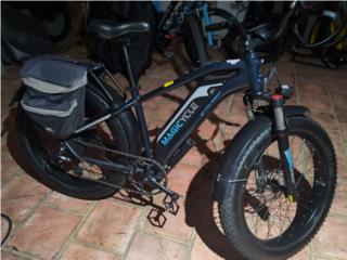 E bike