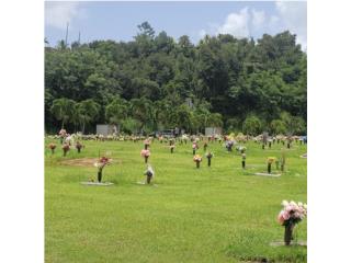 Lote en Cementerio, Puerto Rico