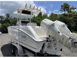 Botes Whaler outrage 24 Puerto Rico