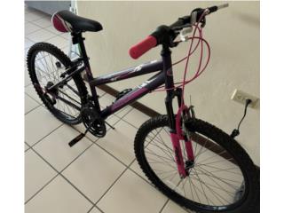 Bicicleta rallye 24