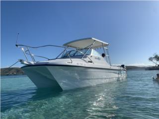 Botes Catamaran cuddy cabin Puerto Rico