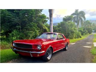 Mustang, Ford Puerto Rico