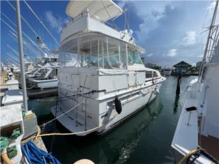 Botes Clasica Bertram 42 Motor Yacht  Puerto Rico