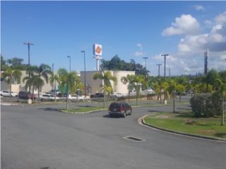 Alquiler Barrio Pueblo - Bayamon ***PAD 2,000 m2 PLAZA TROPICAL*** Bayamn