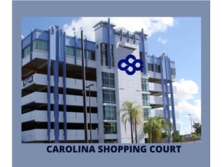 Carolina Shopping Court, Suite 309
