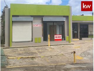 BO. PUEBLO, LOCAL COMERCIAL EN ARECIBO