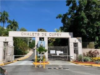 Chalets de Cupey - Cntrico con 2 parkings