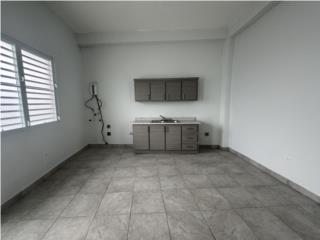 Apartamento Remodelado Ave Los Millones 2C/1B