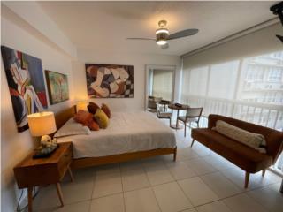 Equipped/Furnished Studio, Pkg, Laundry, View