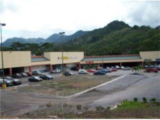 Adjuntas Plaza Shopping Center