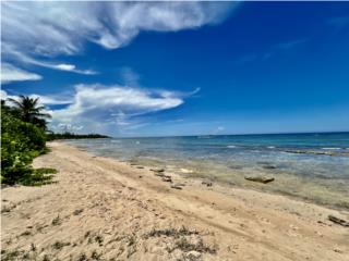 Chalets de La Playa / Apto. Walk-Up GARDEN