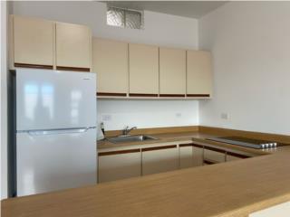 Renta 2 Apartamentos Renovados con Balcn