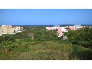   BO. MACHOS, 3.1844 CUERDAS, CEIBA