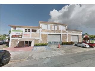 Industrial Flex Space in Hato Rey FOR SALE