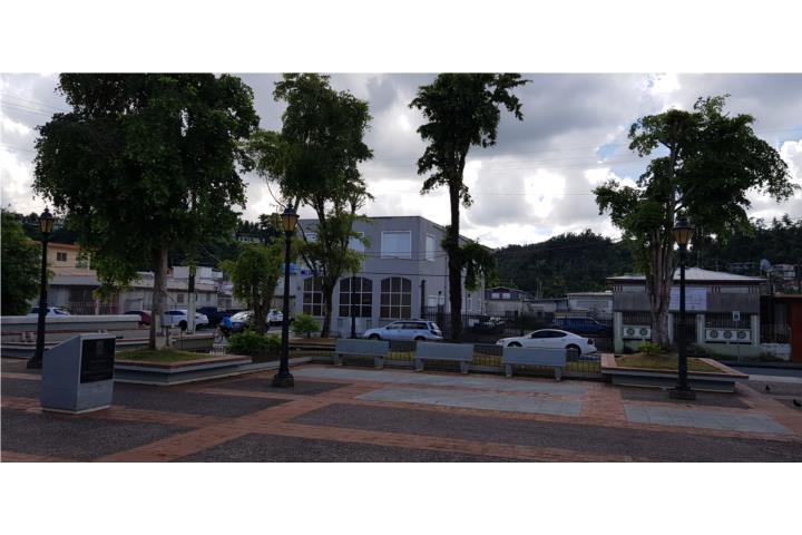 Pueblo Puerto Rico Bienes Raices Pueblo Real Estate Vega Alta