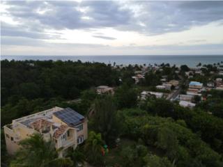 Vista panoramica al mar Bo Bo Guaniquilla