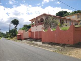 Casa Grande, Carr 938, Bo Anton Ruiz, Humacao