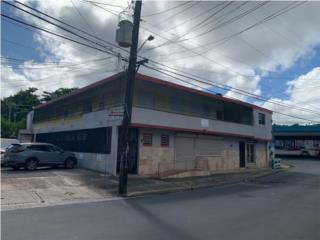 Fajardo (Pueblo) 2 Locales Bienes Raices Puerto Rico