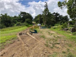 Finca ubicada en Bo. Quebrada Cruz, Toa Alta