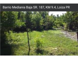 Terreno 18 .32 cuerdas en Mediania Baja, Loiza