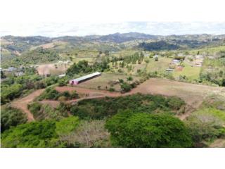 FINCA 56 cdas Owner’s financing available