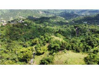 Beautiful 9 acre lot in Maunabo 