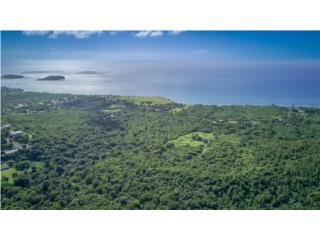 Vieques Land - For Sale