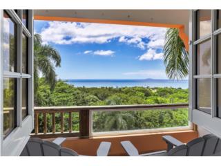 TROPICAL MULTI-UNIT INCOME PRODUCING HOME 