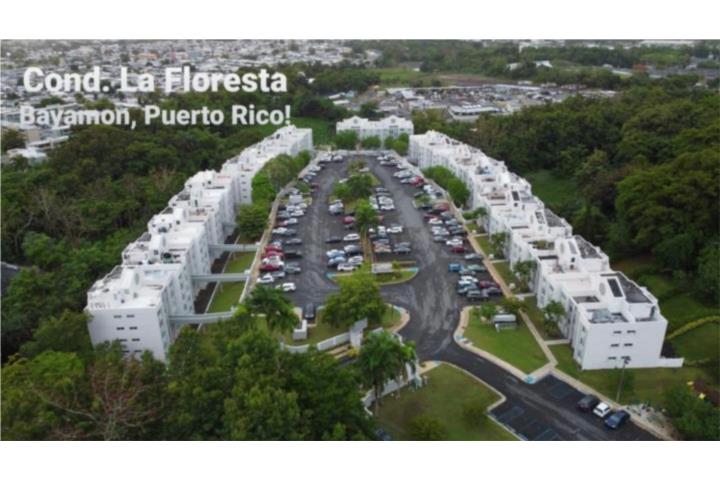 La Floresta Puerto Rico