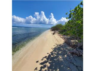 26 Acre Lot with 1/4 Mile of Beachfront