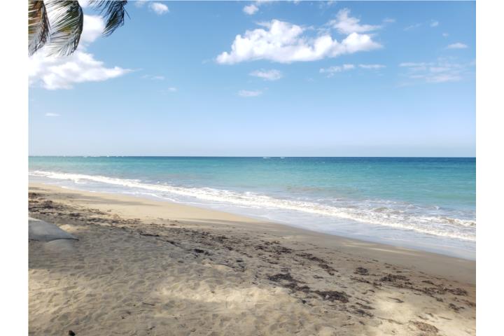 Berwind Beach Resort Puerto Rico