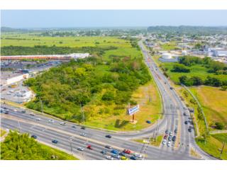 Commercial Land For Sale - Canovanas 