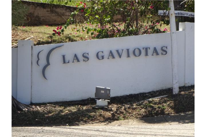 Las Gaviotas Puerto Rico