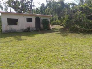 8253.82 m2 Land for sale with small structure
