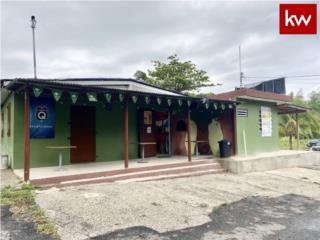 BO. PINALES, LOCAL COMERCIAL EN AÑASCO
