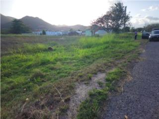Bo Los Llanos, Desvo 5559, Coamo