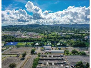 LOT 1 Las Piedras Industrial Land - FOR SALE