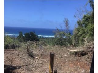 2.4 ACRES ON THE CLIFF, OCEAN VIEW