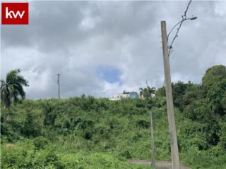 TERRENO EN URB. MANSIONES DE TERRA LINDA #16 