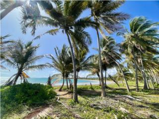 JUST LISTED! BEACHFRONT PARCEL