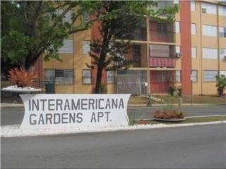 Interamericana Garden 3-1