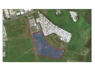 50-acre industrial flat land in Humacao