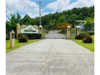 Urb. Colinas de Guavate  Cayey