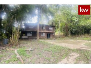 BO. CARRERAS, CASA EN AñASCO