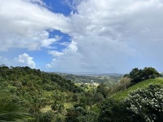 4 ACRES, PANORAMIC VIEW, PRIVACY