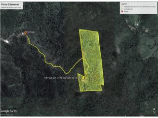 Terreno de 11.5 cuerdas Bo Muoz Rivera, Pati