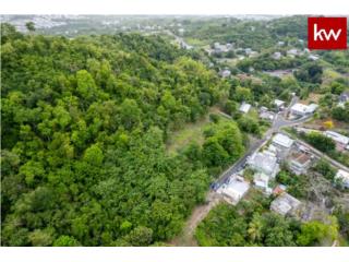 BO. SANTA ROSA, TERRENO EN GUAYNABO